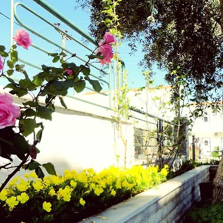 Aparthotel Soti Chrysi Ammoudia